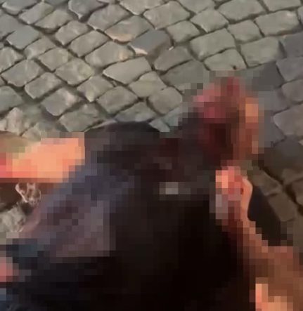 HUSUMETLİ OLDUĞU AKRABASININ BOĞAZINI KESİP KAHVEHANENİN ÖNÜNE ATTI