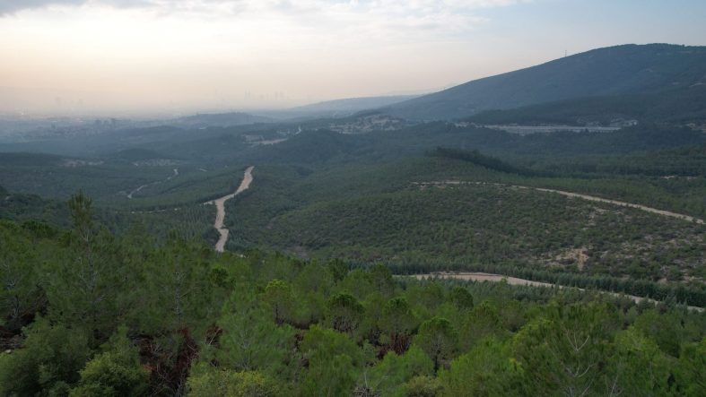 İZMİR'DE ORMANLARA GİRİŞ YASAĞI BAŞLADI