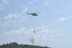 URLA BALIKLOVA'DAKİ ORMAN YANGINI KONTROL ALTINDA