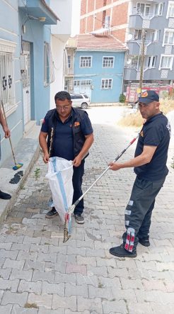 EVE GİREN YILAN PANİĞE NEDEN OLDU