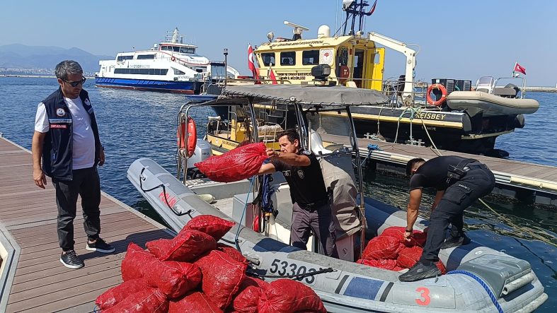 İZMİR'DE YASA DIŞI KARA MİDYE OPERASYONU: 560 KİLOGRAM MİDYE DENİZE İADE EDİLDİ