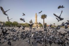 SAAT KULESİ 125 YILDIR İZMİR'İN ZAMANINA TANIKLIK EDİYOR