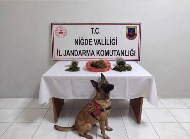 NİĞDE'DE UYUŞTURUCU OPERASYONU: 2 ŞÜPHELİYE İŞLEM YAPILDI